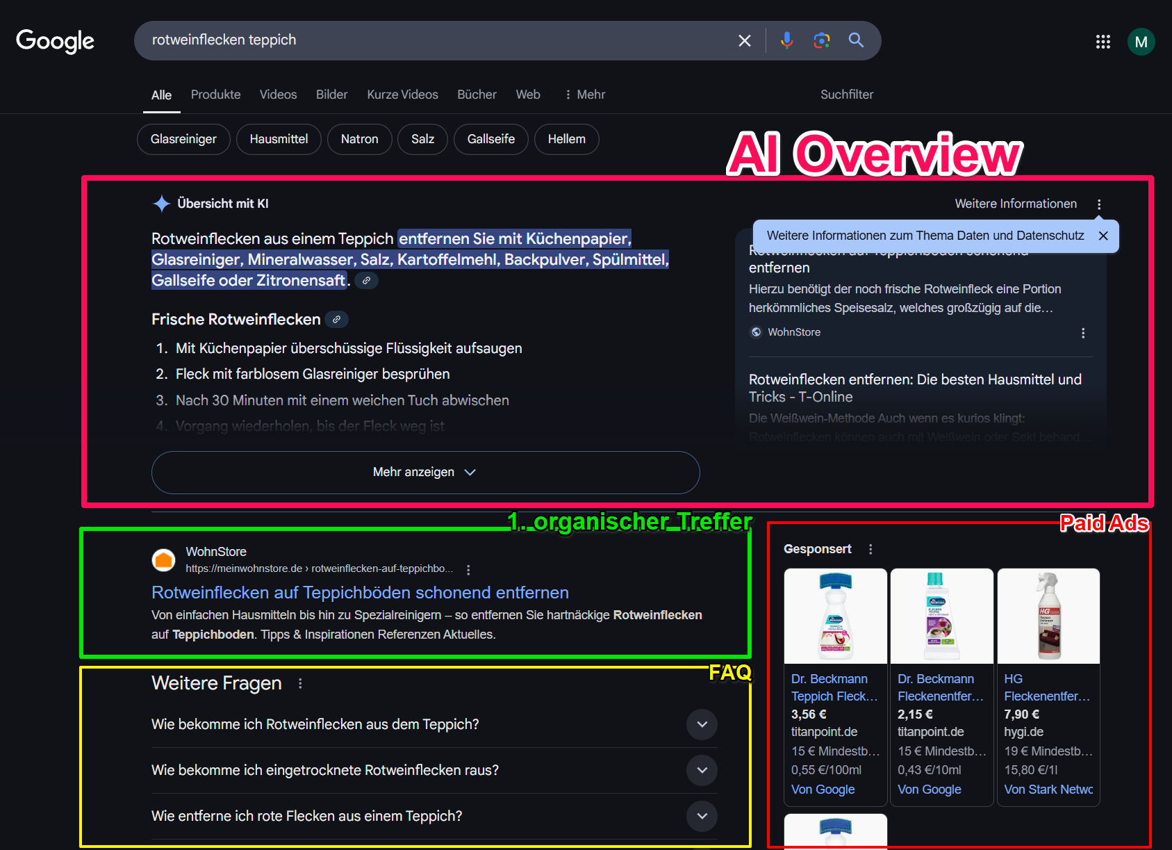 KI-Audit 2025 - das ist AI-Overview